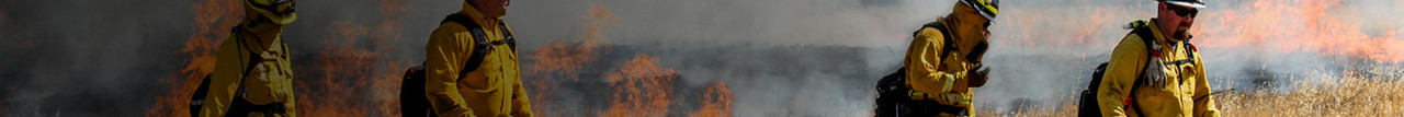 PPE Wildland